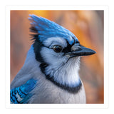 Blue Jay Bird Close Up Detailed Portrait (Print Only) thumbnail