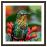 Close Up Of A Hummingbird On Red Flowers thumbnail