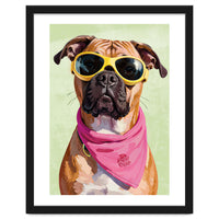 Cool Dog with Sunglasses – Funky Bandana
