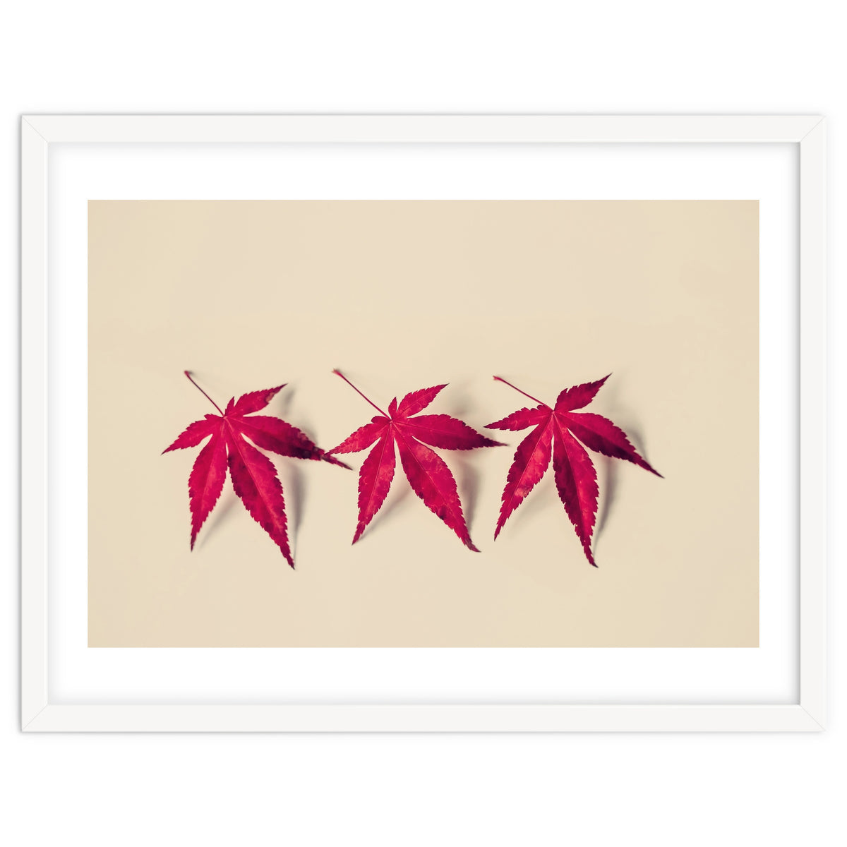 Dancing Leaves