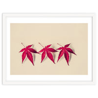 Dancing Leaves