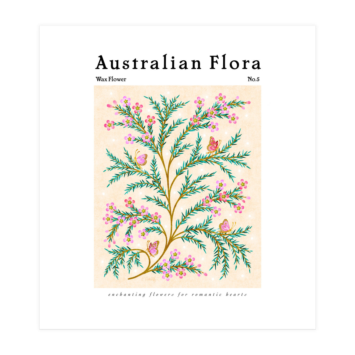 Australian Flora: Wax Flower (Print Only)