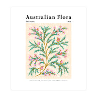 Australian Flora: Wax Flower (Print Only)