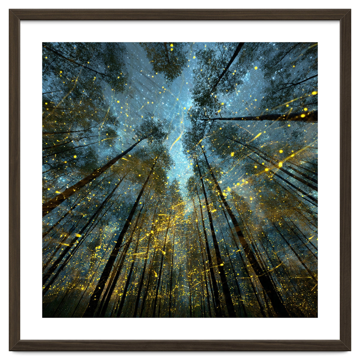 Enchanted Night Forest with Glowing Fireflies