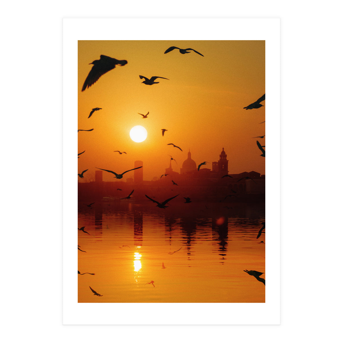 Charming Birds (Print Only)