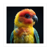 Vibrant Sun Conure Parrot Close Up Portrait (Print Only)