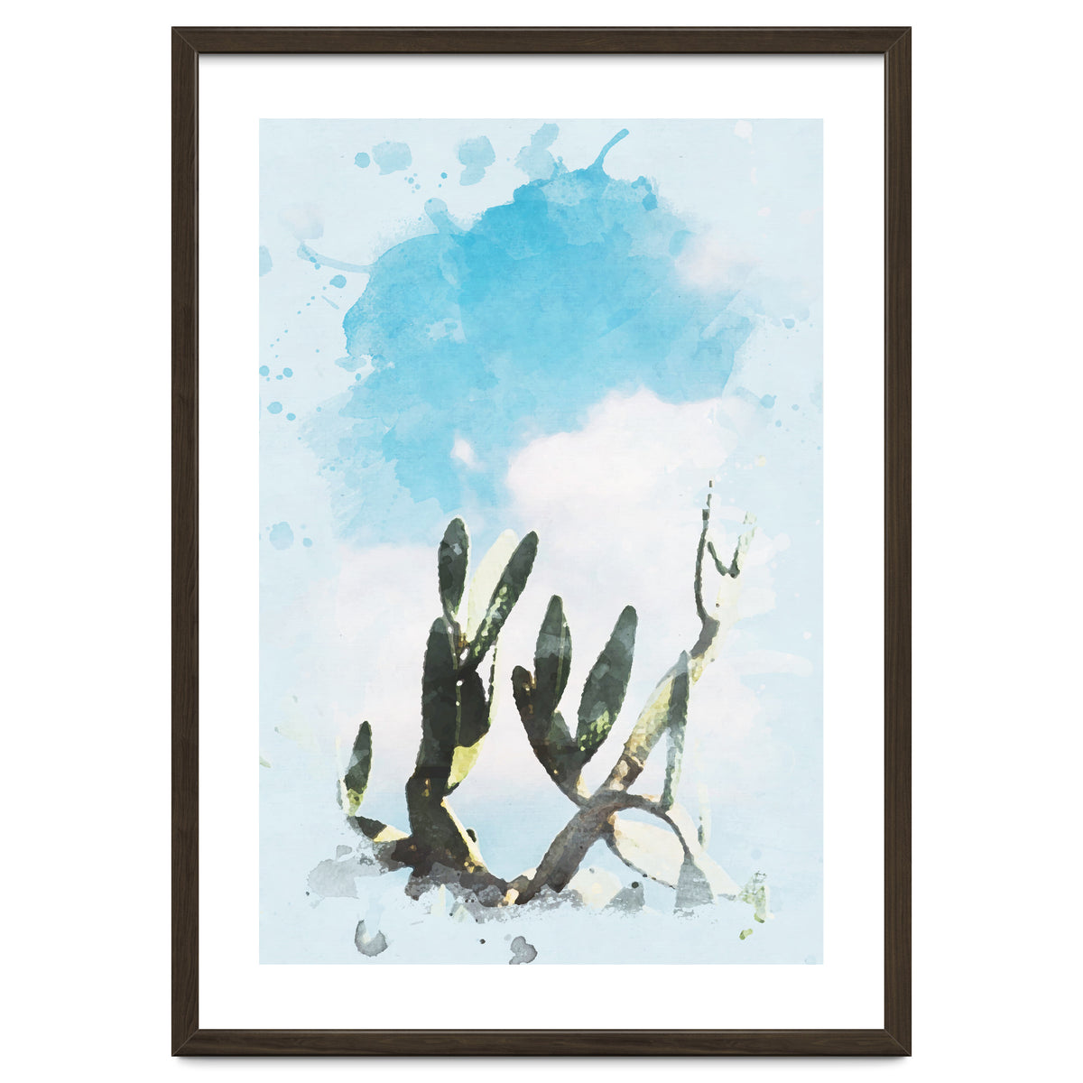 Cactus & Sky