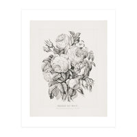 Currier & Ives – Rose of May (1870) (Print Only)