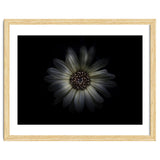 Backyard Flowers No 27 Color Version thumbnail