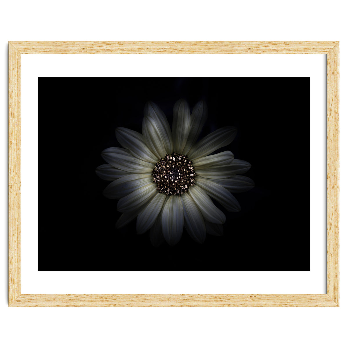 Backyard Flowers No 27 Color Version