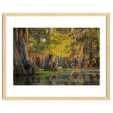 Heron in the swamps thumbnail