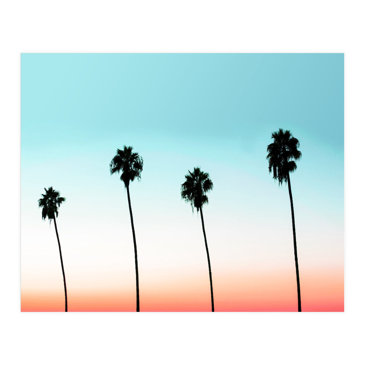 Sunset Boulevard #society6 #decor #buyart (Print Only)