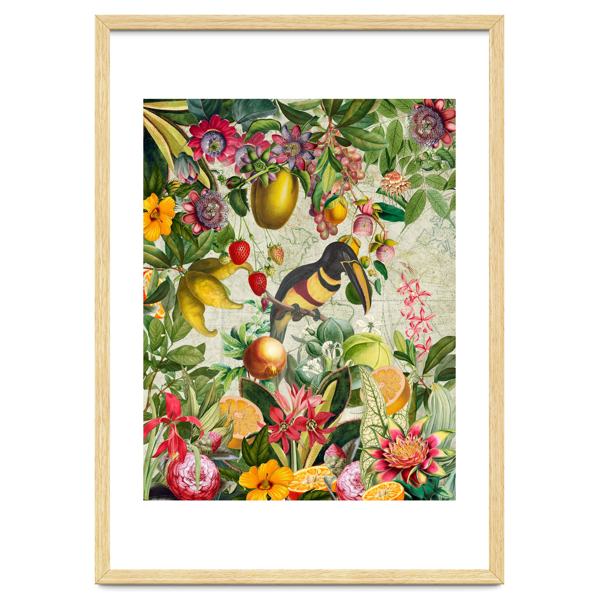 Toucan vintage jungle