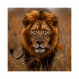 Majestic Lion King Of The Savannah In Dry Grass (Print Only) thumbnail