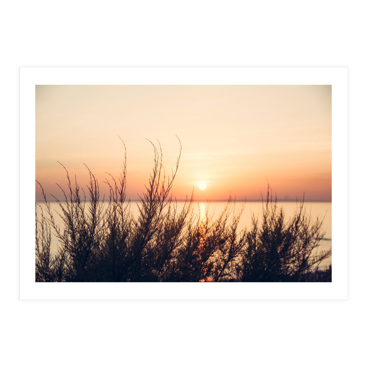 Orange Heatwave 2 (Print Only)