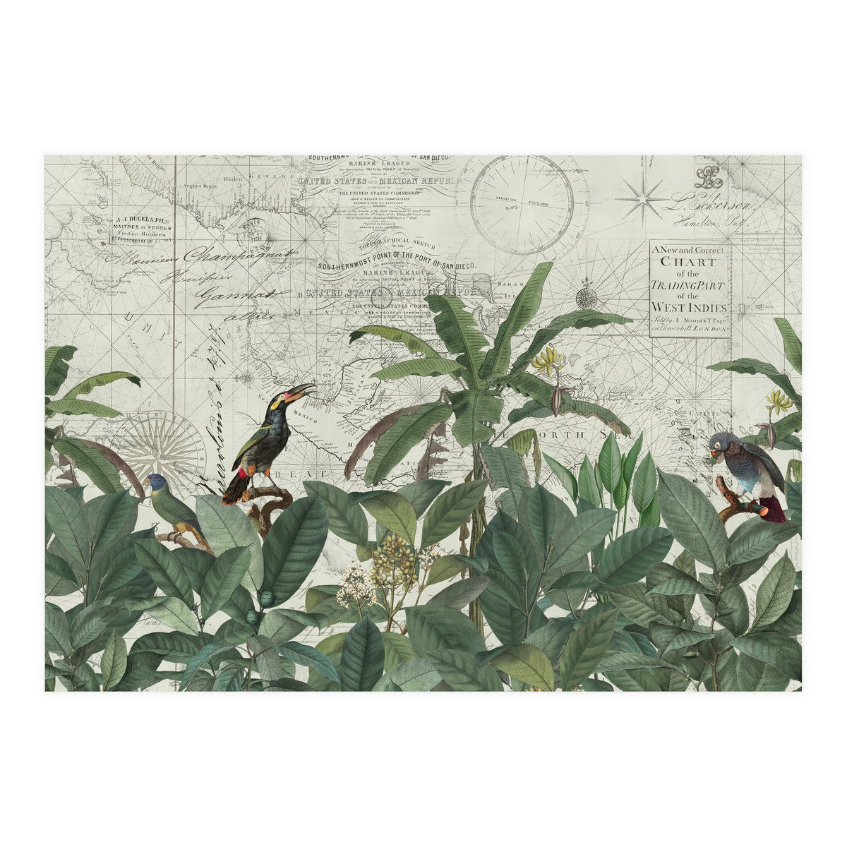 Explore The New World (Print Only)