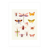 Beautiful Creatures (Print Only) thumbnail