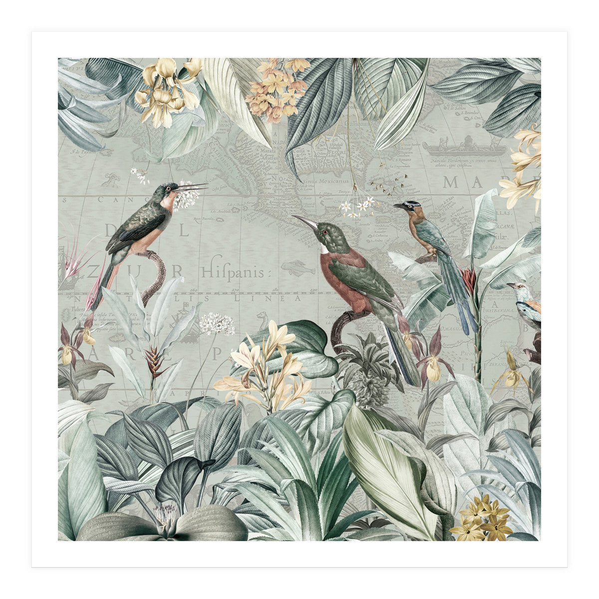 Vintage Exotic Birds Paradise Jungle (Print Only)