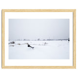 Drinking fountain covered with snow thumbnail