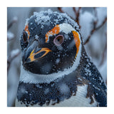 Penguin In Snow Falling Close Up Portrait (Print Only) thumbnail