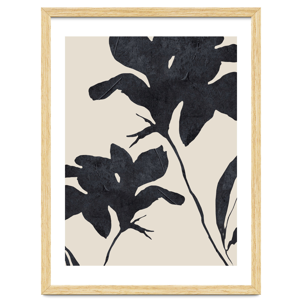 Shadowed Blooms