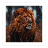 Majestic Lion King Of The Jungle Close Up Portrait (Print Only) thumbnail