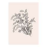 Acacia Botanical illustration (Print Only) thumbnail