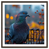 Pigeon With Water Droplets thumbnail
