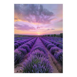Infinite Horizons (Print Only) thumbnail