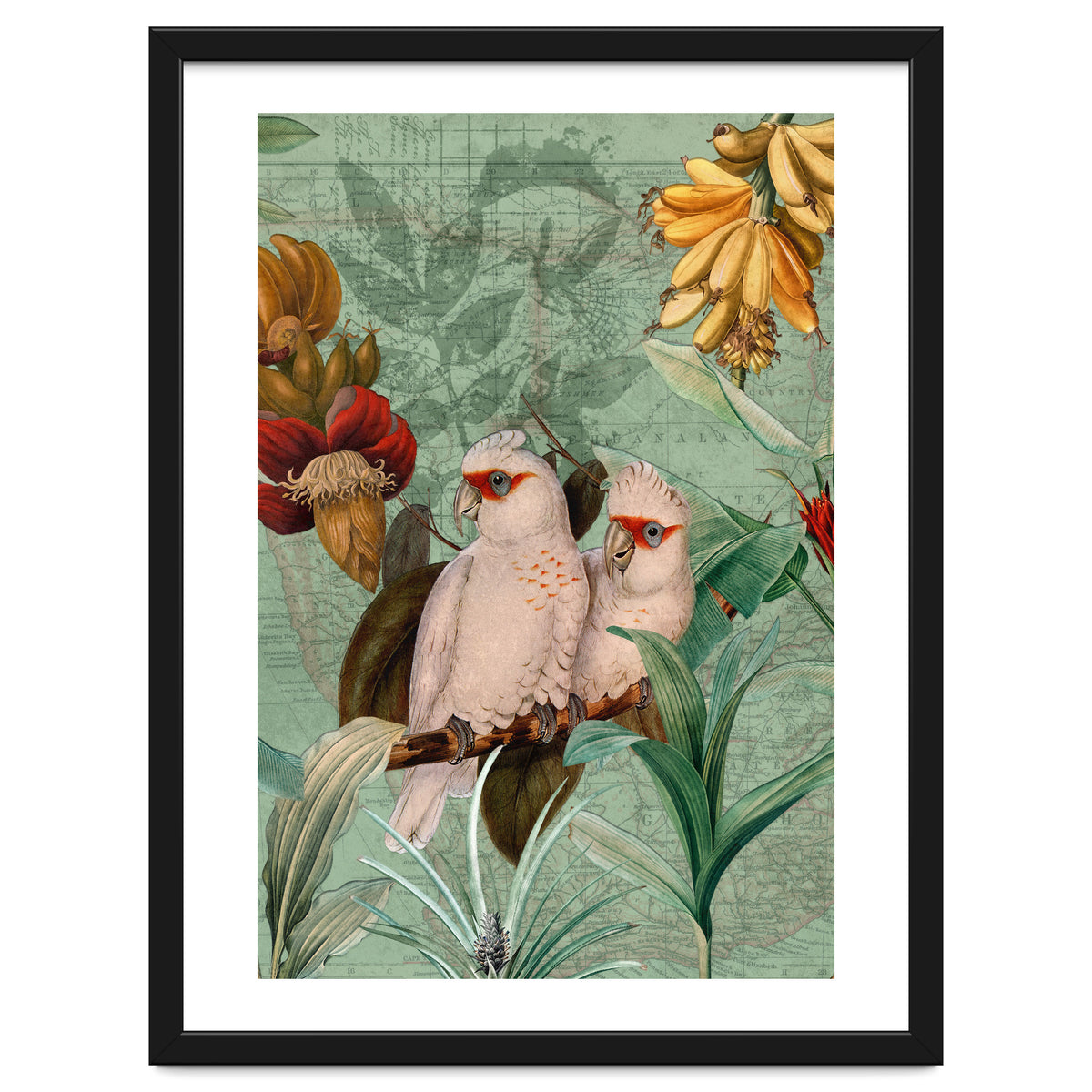 Green Cockatoo Exotic Bird Jungle