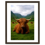 Highland Cow in Scotland thumbnail