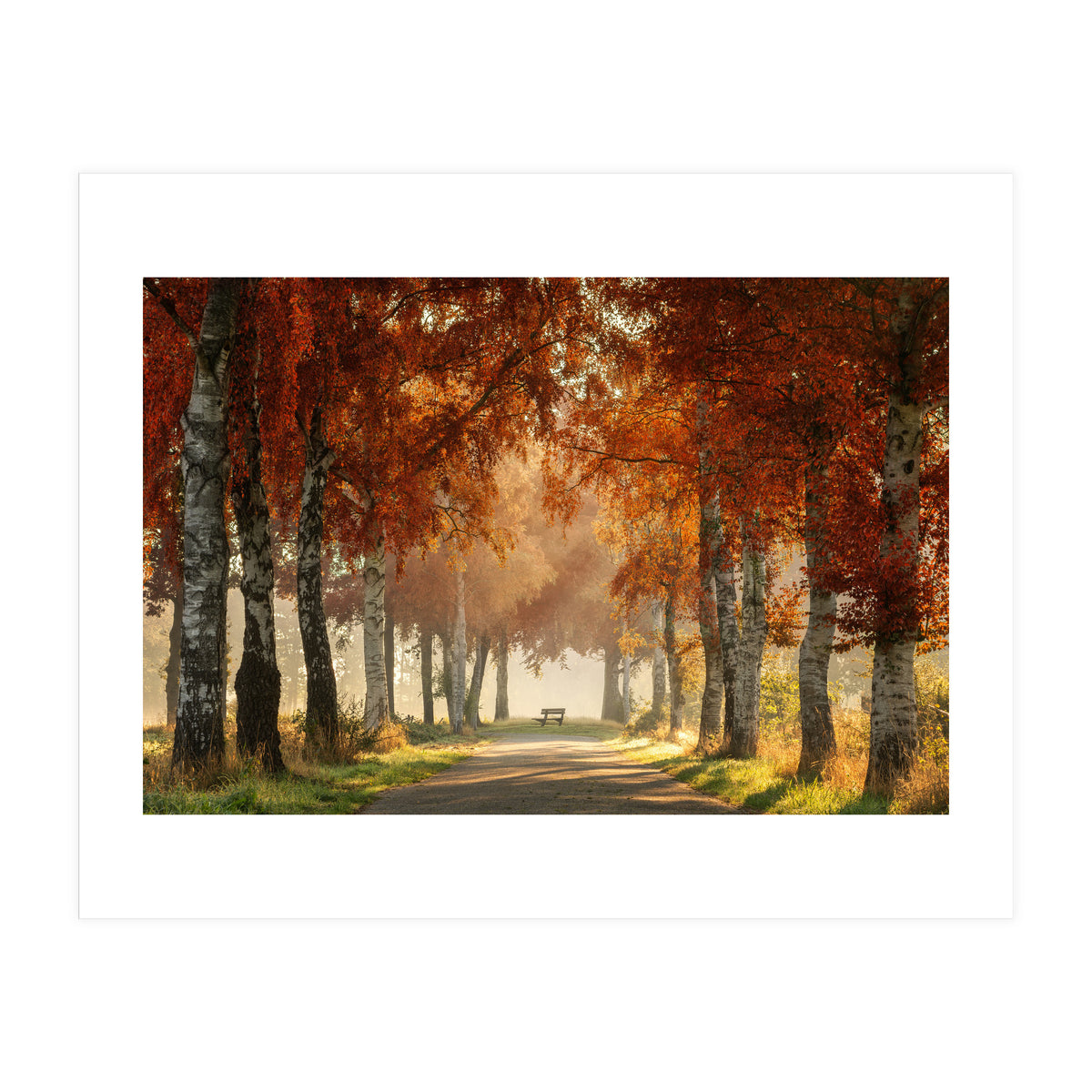 Red autumn (Print Only)