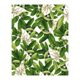 Greenery #society6 #decor #buyart (Print Only) thumbnail