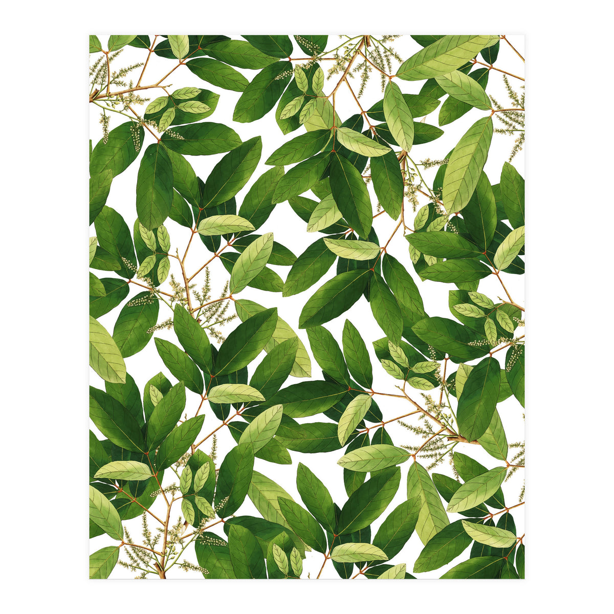 Greenery #society6 #decor #buyart (Print Only)