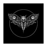 Deaths Head Moth (Print Only) thumbnail