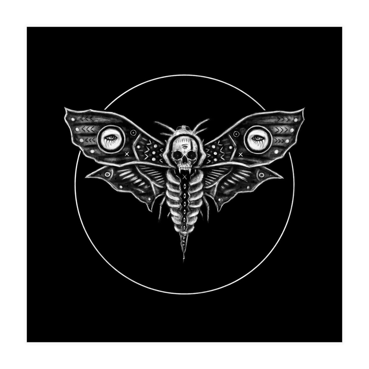Deaths Head Moth (Print Only)