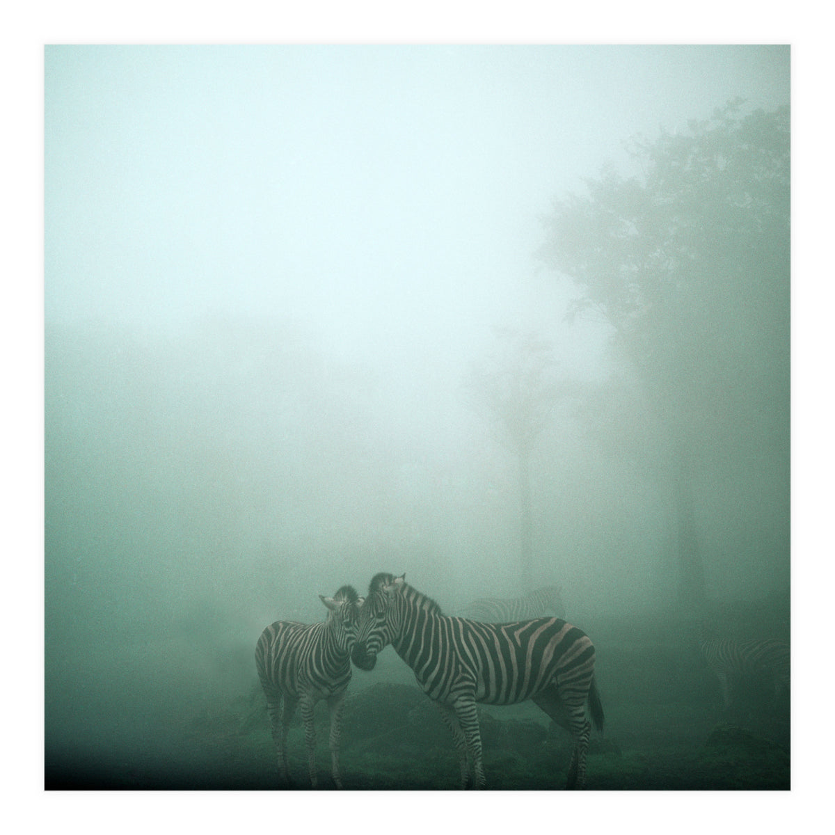 Silence of breath - 11 (Print Only)