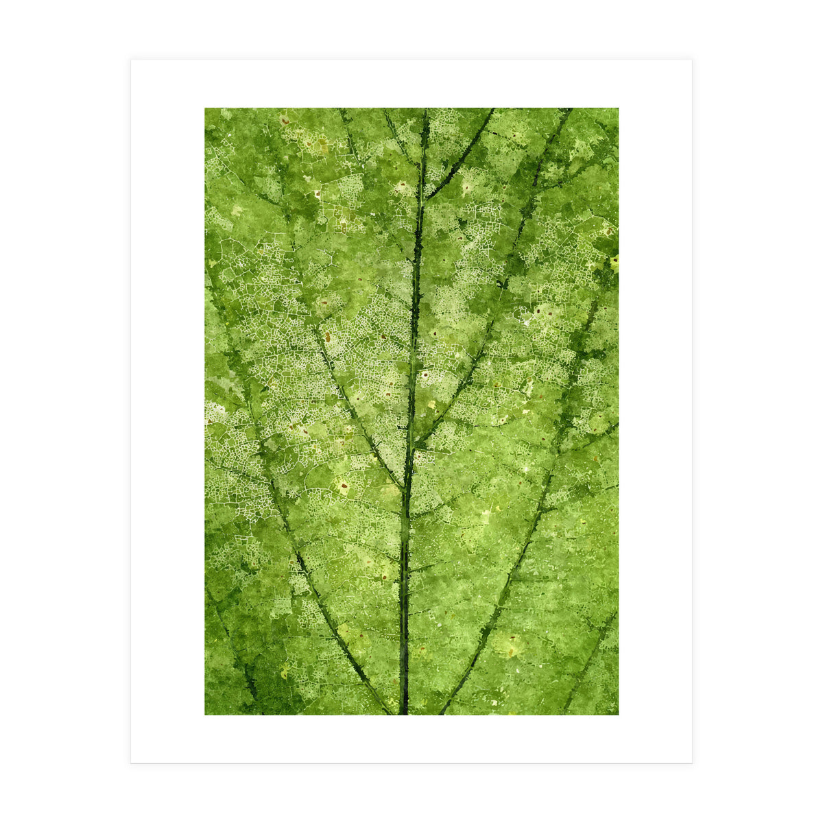 Nature Veins (Print Only)