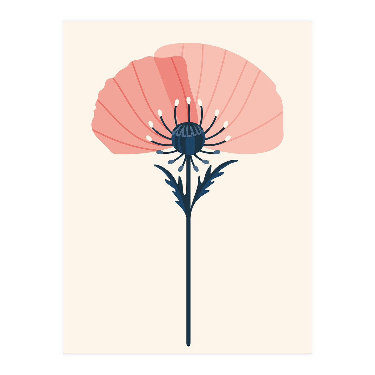 Pink Half Poppy (Print Only)