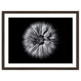 Backyard Flowers In Black And White No 10 Flow Version thumbnail