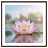 Ethereal Lotus Bloom: Serene Botanical Reflection thumbnail