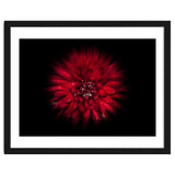 Backyard Flowers No 45 Color Flow Version thumbnail