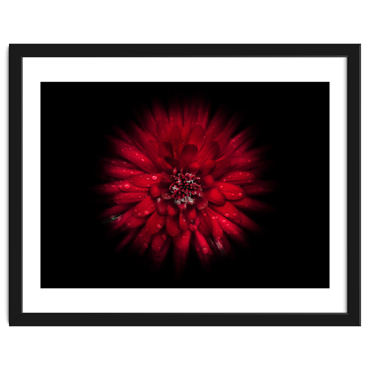 Backyard Flowers No 45 Color Flow Version