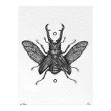 Giraffen Hirschkäfer (Print Only) thumbnail
