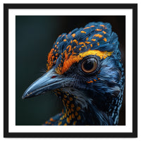 Close Up Of A Colorful Bird Head And Eye