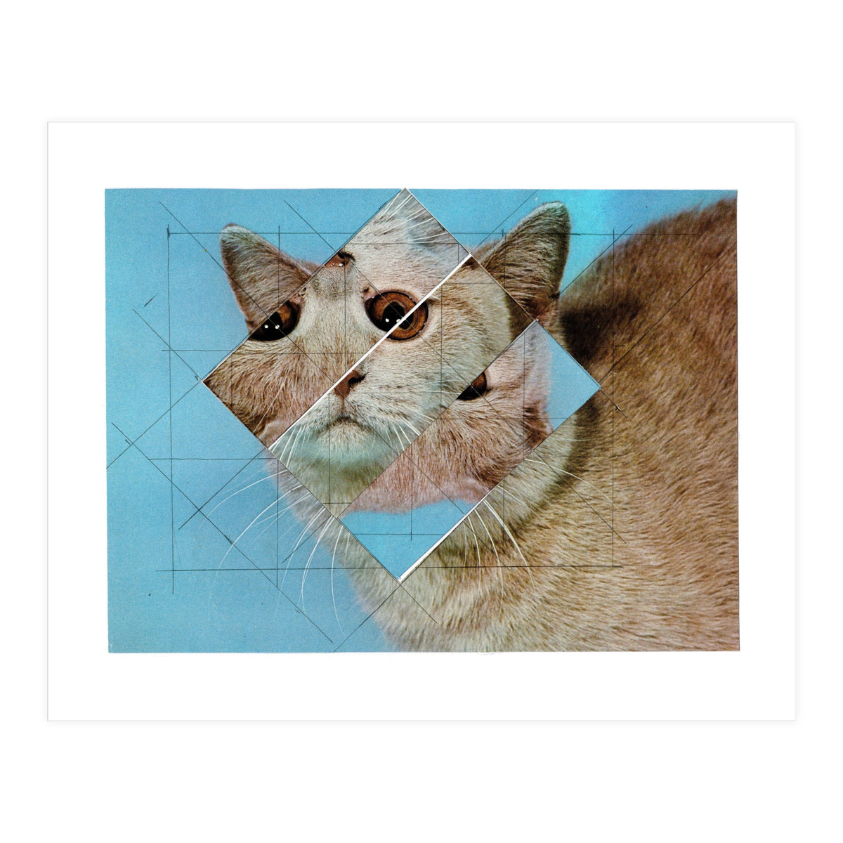 The Depressive Cat Am Abend Bekommt Den Blues (Print Only)