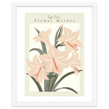 Flower Market Cap Town Amaryllis thumbnail