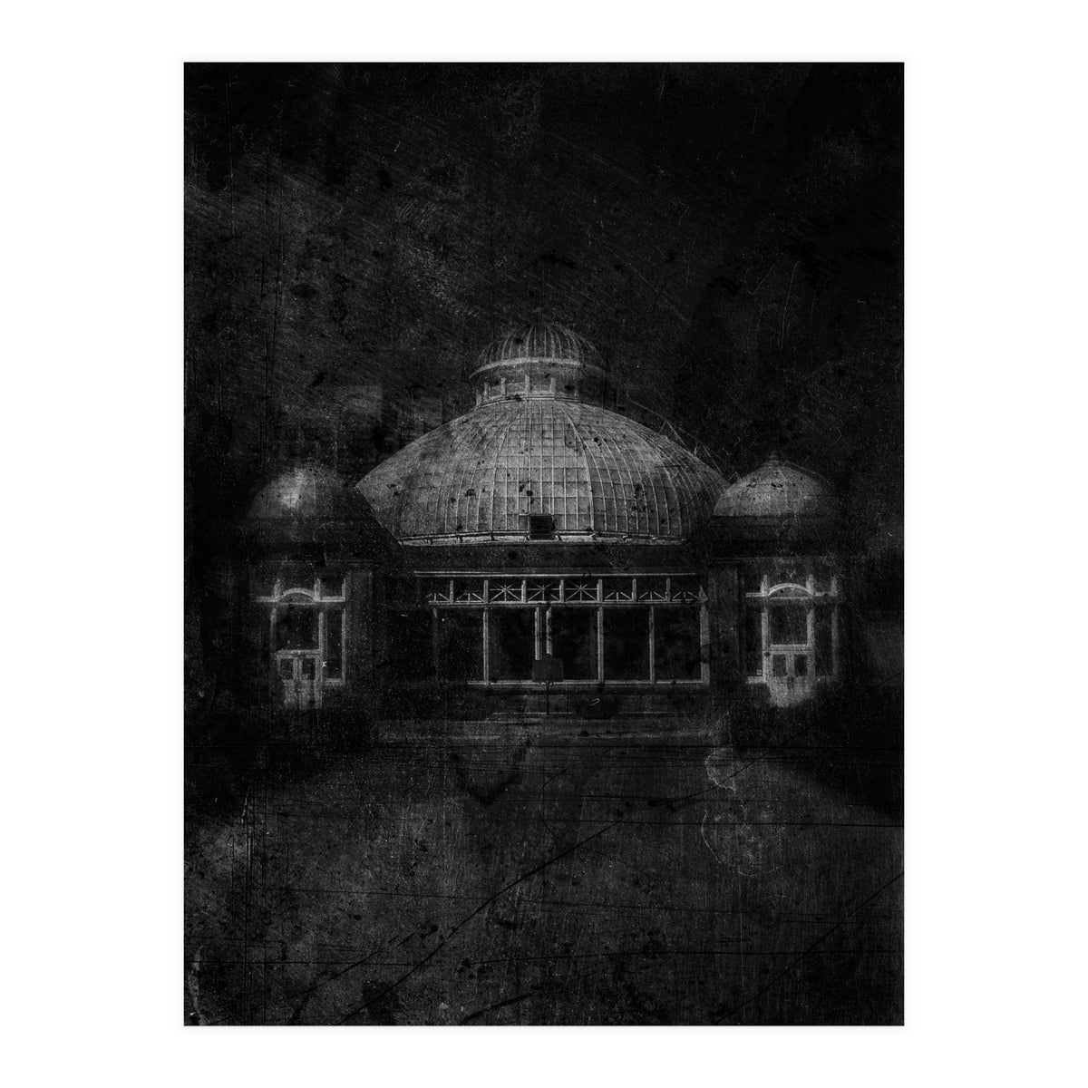 Allan Gardens Conservatory Palm House No 3 Old Film Version (Print Only)