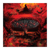 Socotra Dragon Blood tree (Print Only) thumbnail
