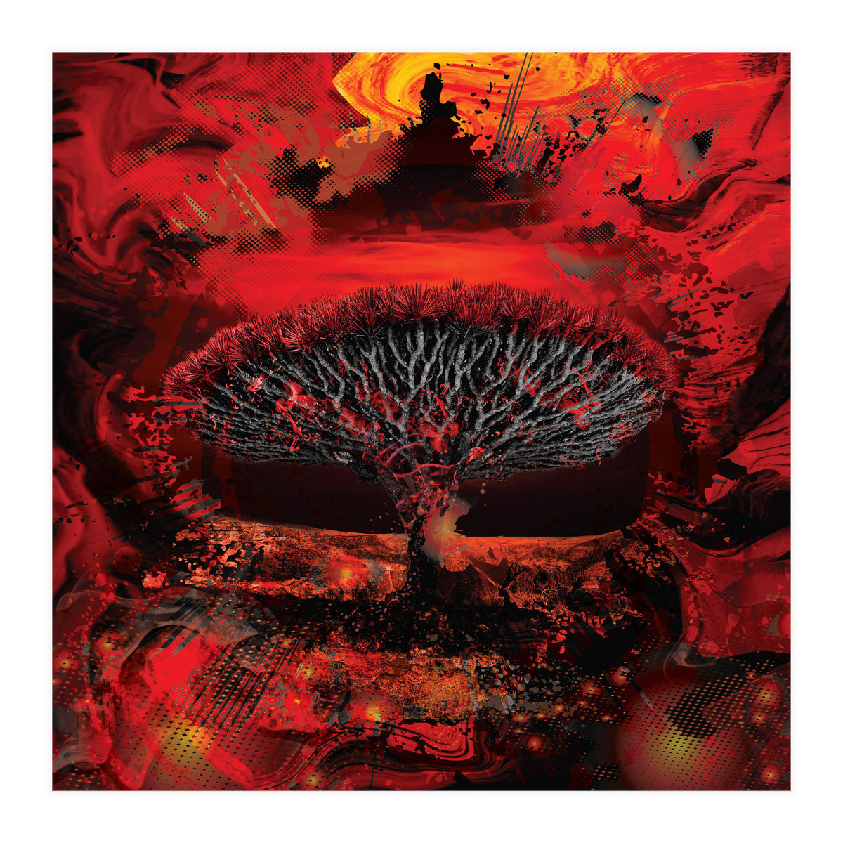 Socotra Dragon Blood tree (Print Only)